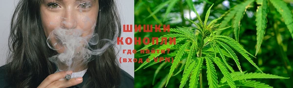 ешки Арсеньев