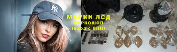 ешки Арсеньев