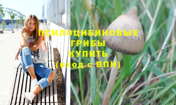 ешки Арсеньев