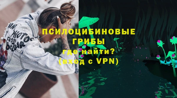 ешки Арсеньев
