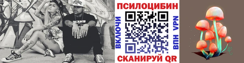 Псилоцибиновые грибы Psilocybe Купить Усолье